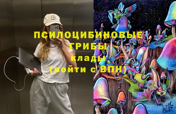 бутират Алексин