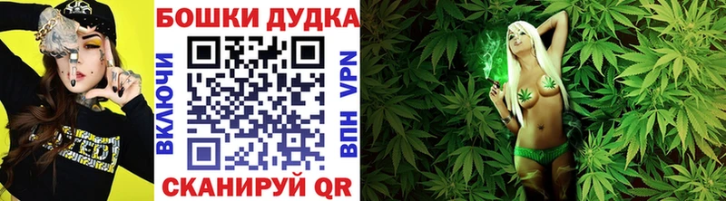 закладки Бабаево Конопля SATIVA & INDICA